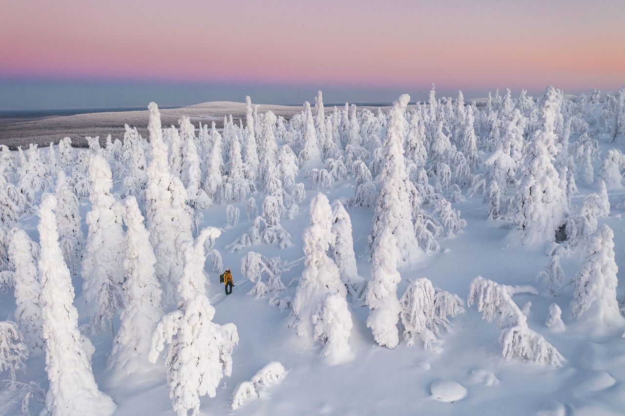 雪について知っておくべきことのすべて | Visit Finland